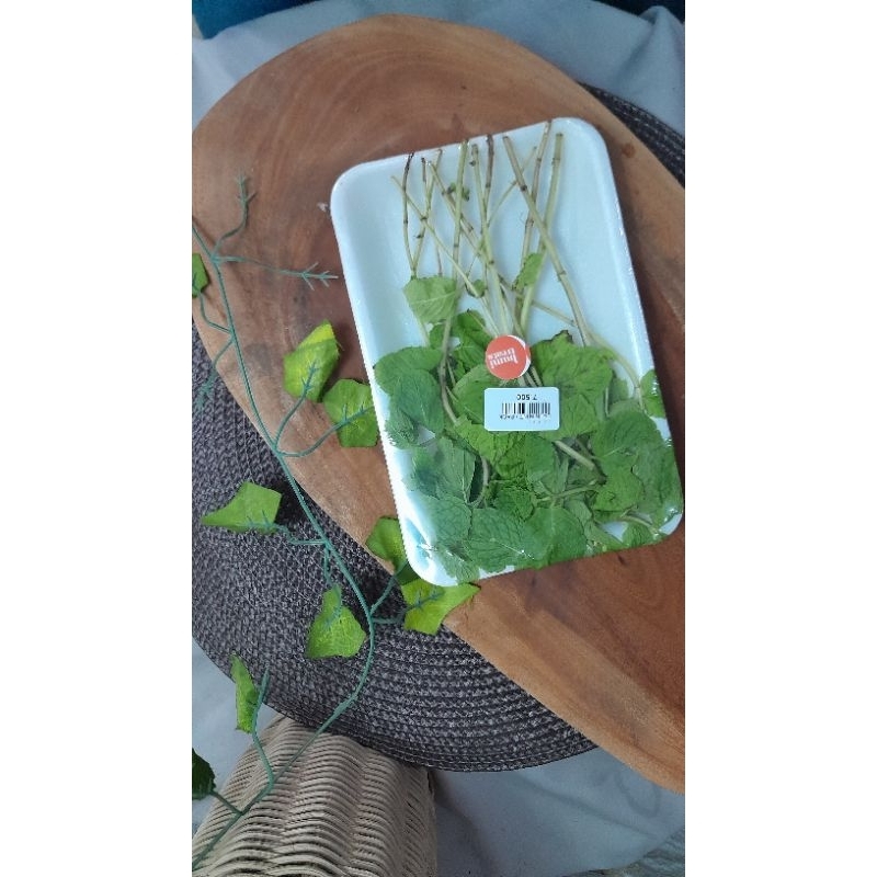 

daun mint fresh 1 pax
