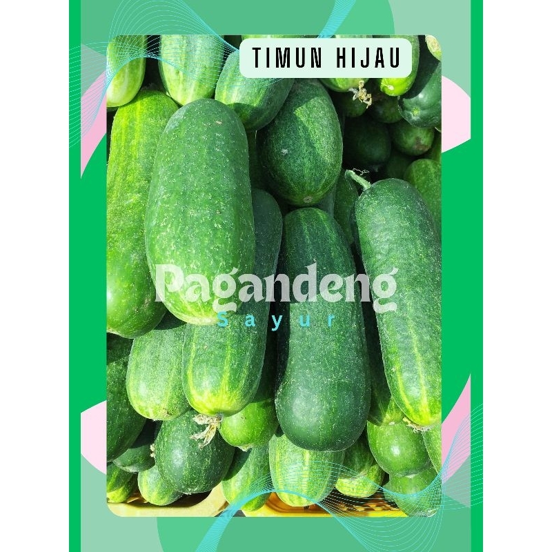 

Timun Hijau
