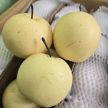 

Pear Century 1kg