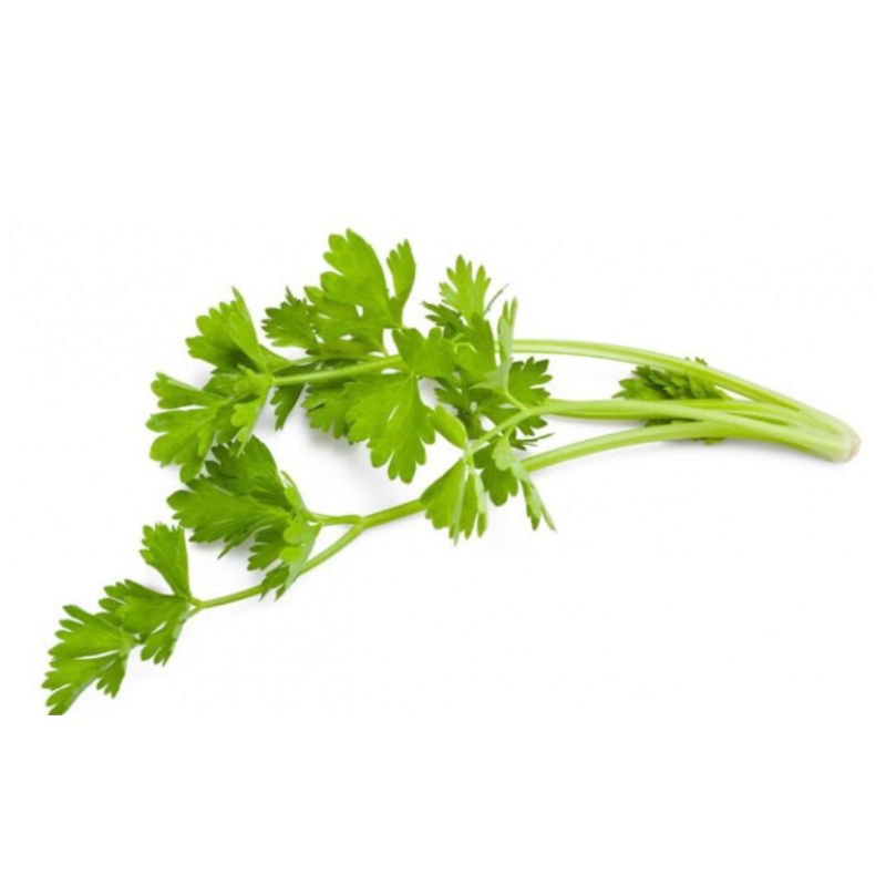 

Seledri 50 gr
