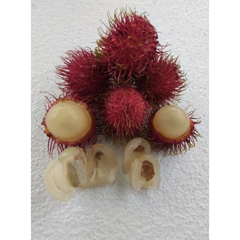 

buah rambutan per 10 butir
