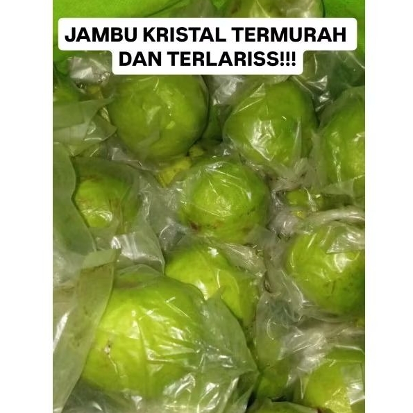 

Jambu kristal/Non Biji 1KG (GUAVA)