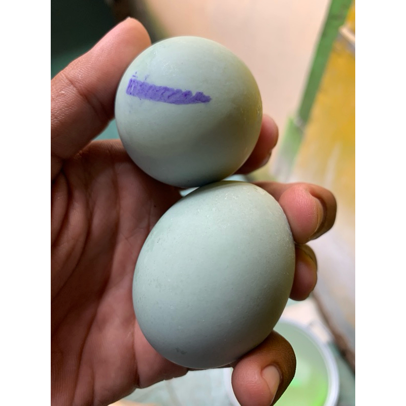 

Telur Asin Matang