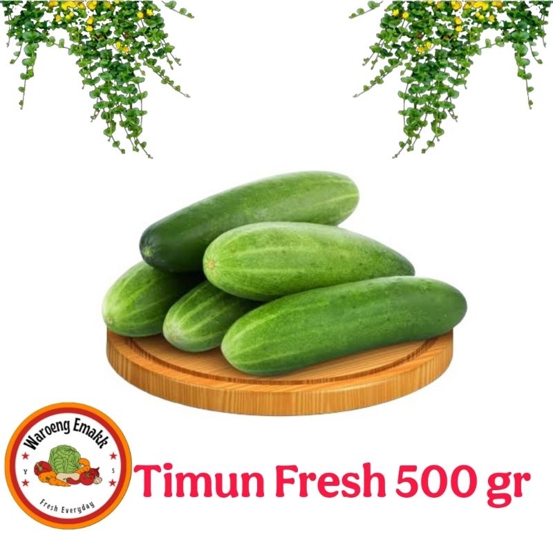 

TIMUN
