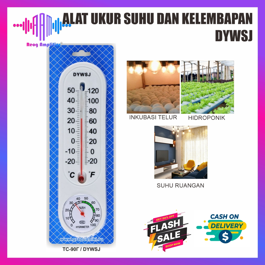 Termometer Higrometer Ruang Thermometer Hygrometer Analog Raksa DYWSJ