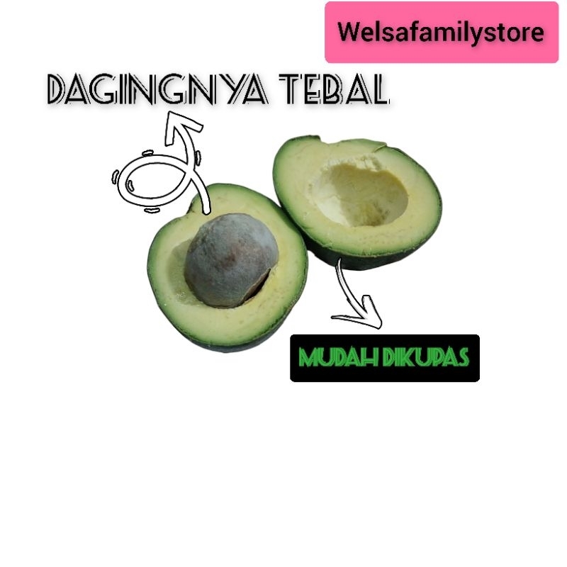 

ALPUKAT MENTEGA LOKAL SUPER LEGIT 1 KG