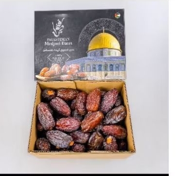 

KURMA MEDJOL PALESTIN 500 GRAM