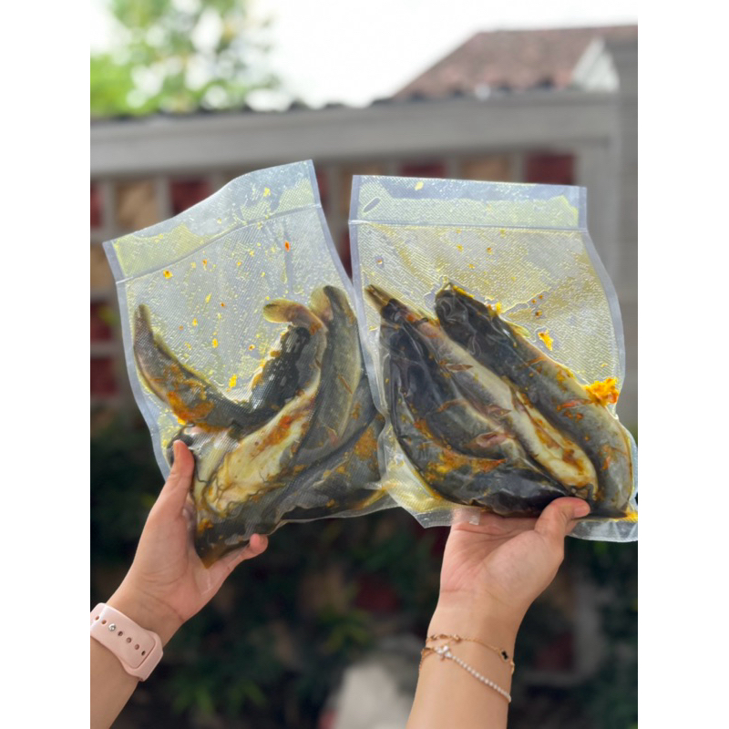 

LELE FROZEN 500gr dan 1kg (Budidaya sendiri pakan full pelet)