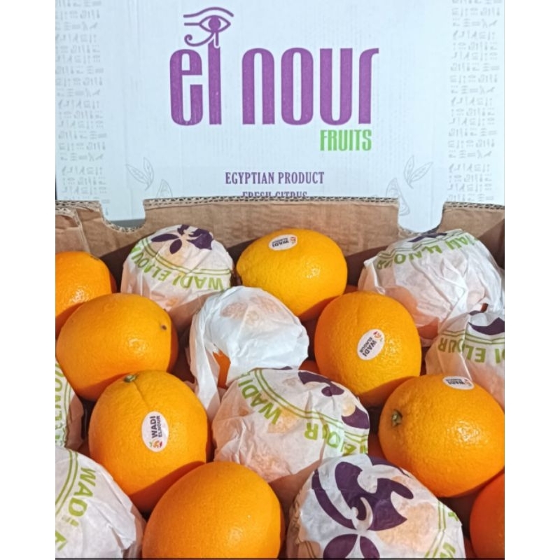 

Jeruk Navel Mesir 1 kardus 14 kg