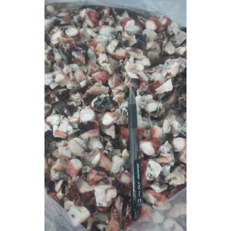 

GURITA POTONG COOK IQF TAKOYAKI 1KG
