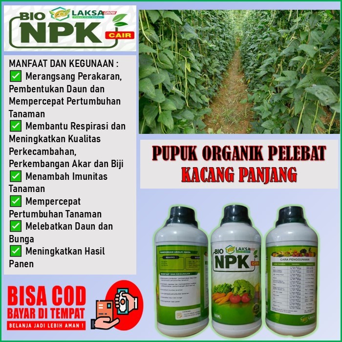 pupuk organik pelebat kacang panjang terbaik - NKP laksa grow membantu meningkatkan hasil panen meli