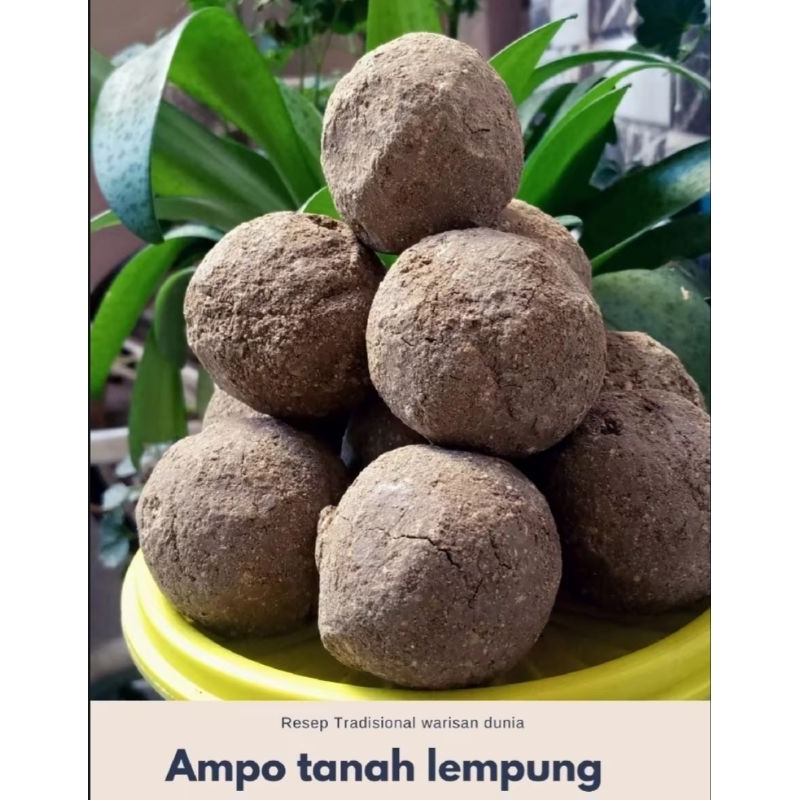 

Ampo Lempung Tanah Liat Putih Untuk Menghilangkan pahit Daun Pepaya Isi 10 Gratis 1