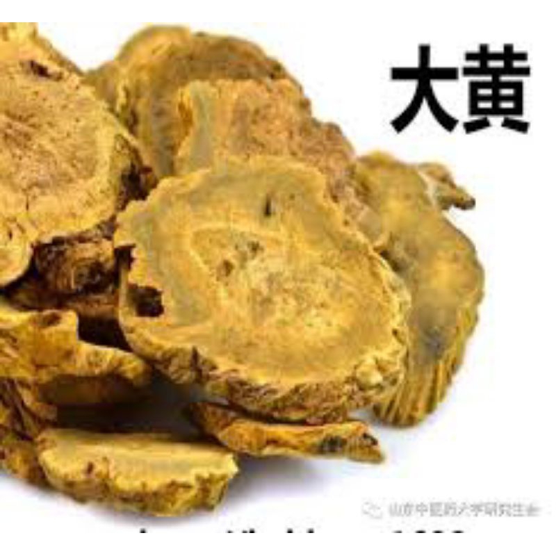 

Da Huang (Iris)/大黄片/Rheum tanguticum/Rheum palmatum