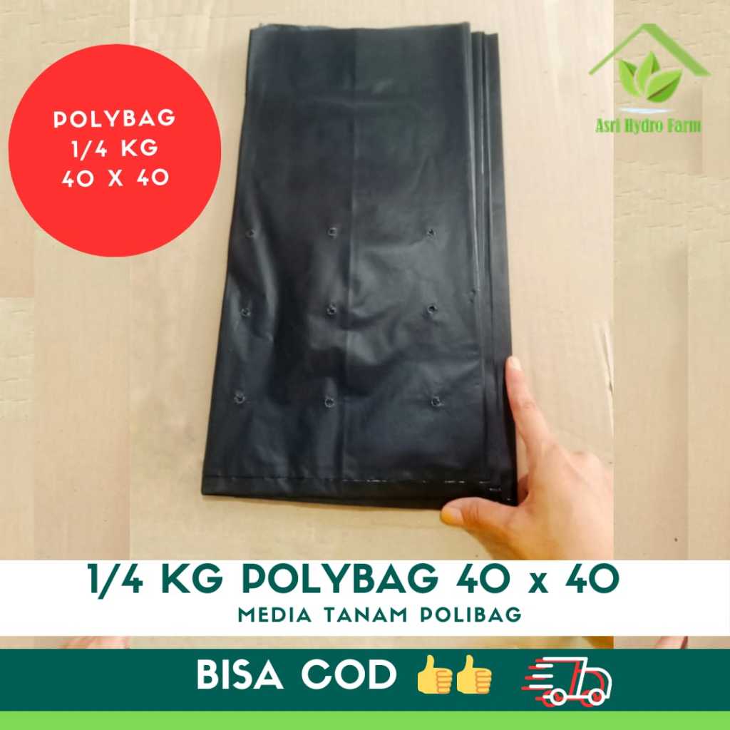 1/4 KG POLYBAG 40x40 250GRAM 2,5 ONS plastik polybag polibag 1/24kg 40x40
