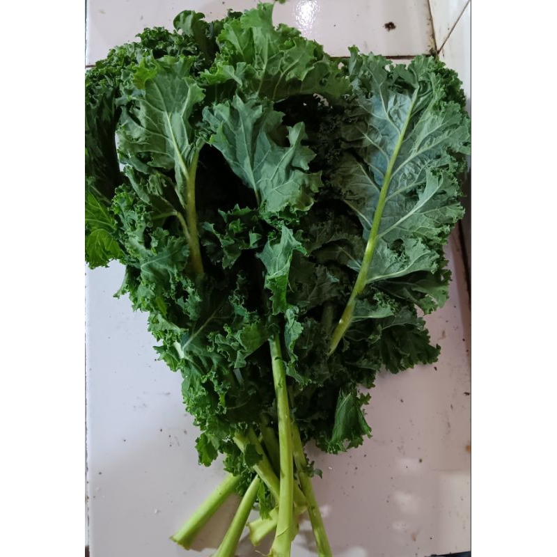 

daun kale segar 500gr