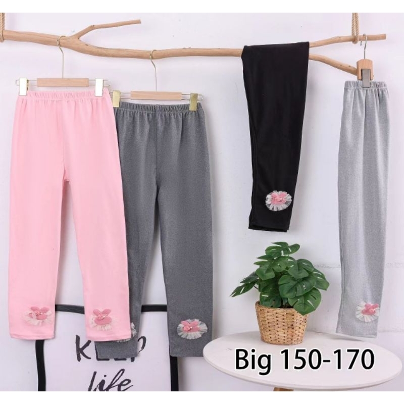 legging yuanfeng besar [10/15TH] 5PCS