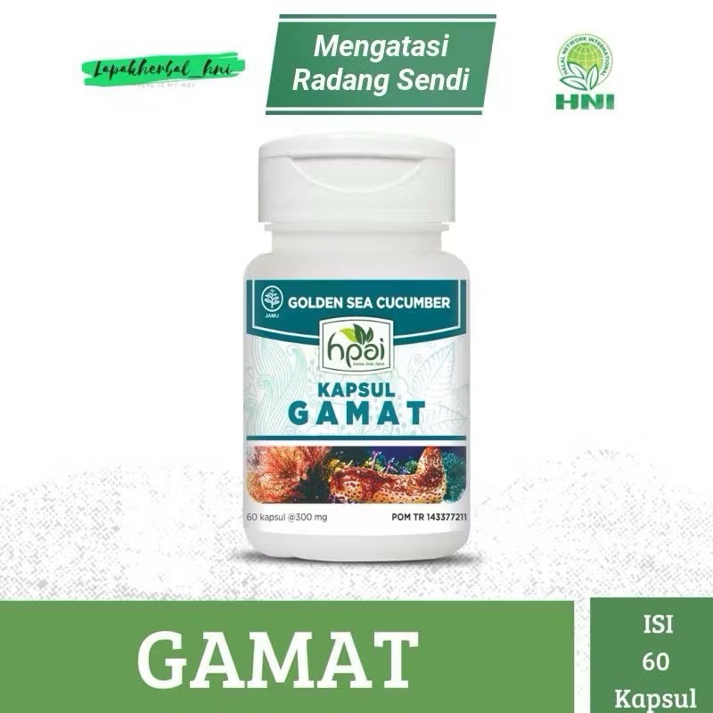 Gamat HNI