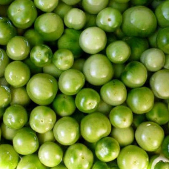 Tomat hijau 1 kg
