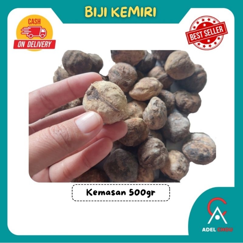 

BIJI KEMIRI DENGAN CANGKANG | 500gr | Rempah herbal asli alami bumbu dapur