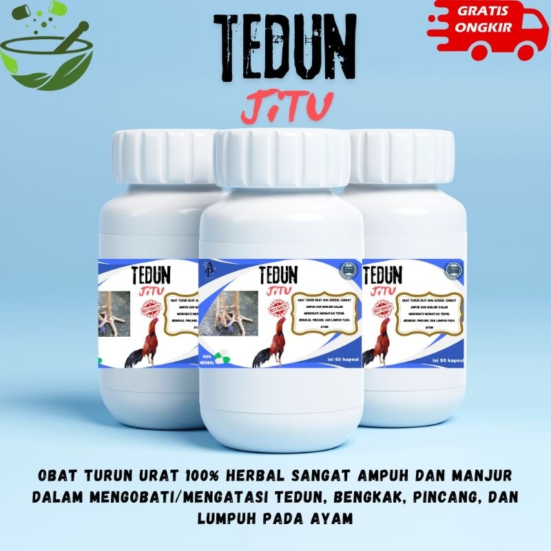 Tedun jitu mengatasi ayam terkena turun urat kaki pincang dan sendi kaki ayam yang lemas
