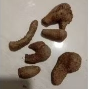 

BUAH UWI HUTAN UNTUK PEMBIBITAN