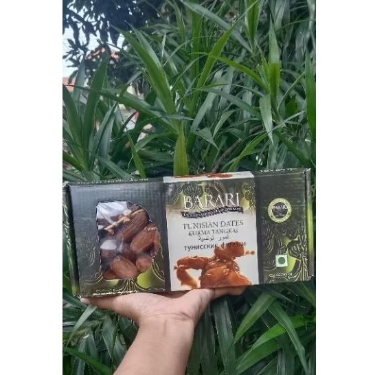 

kurma Tunisia barari