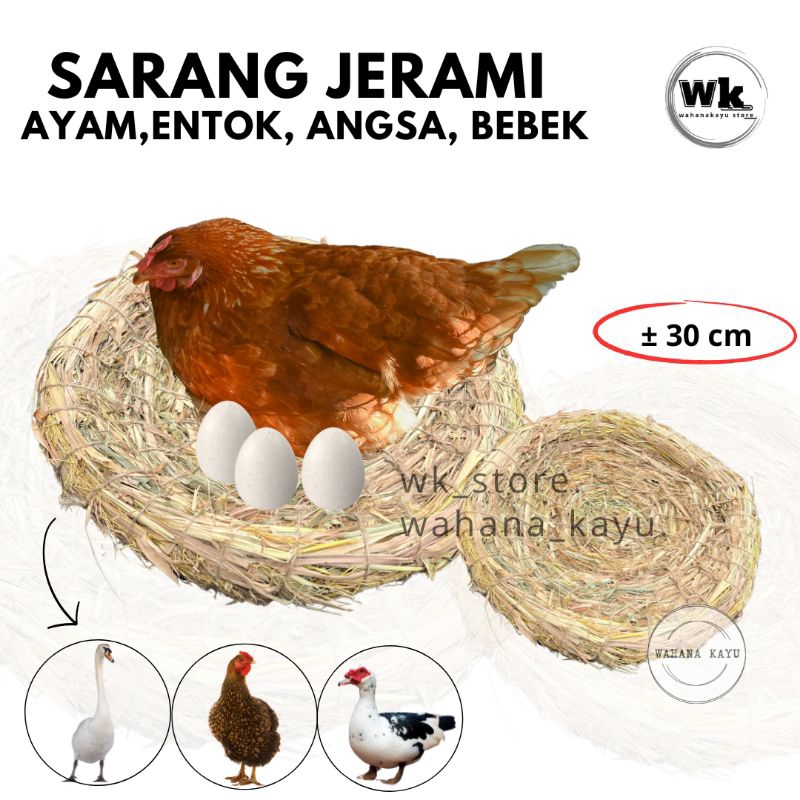 SARANG TARANGAN AYAM SERAT JERAMI | TARANGAN BURUNG DAN AYAM ( SARANG JADI SERAT JERAMI )