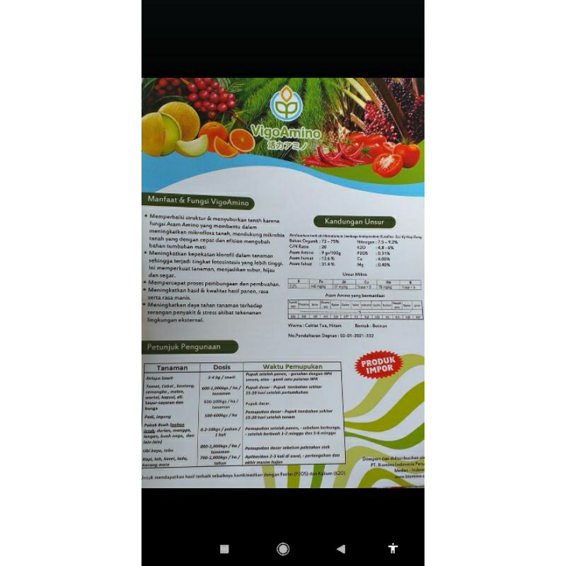 Vigo Amino (Mengandung Asam Amino)