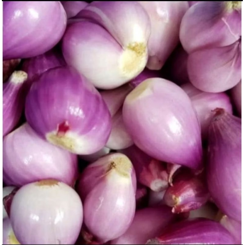 

bawang merah kupas