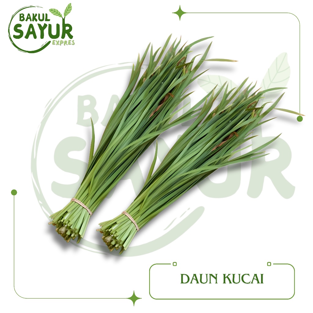 

Daun Kucai Segar Per Ikat