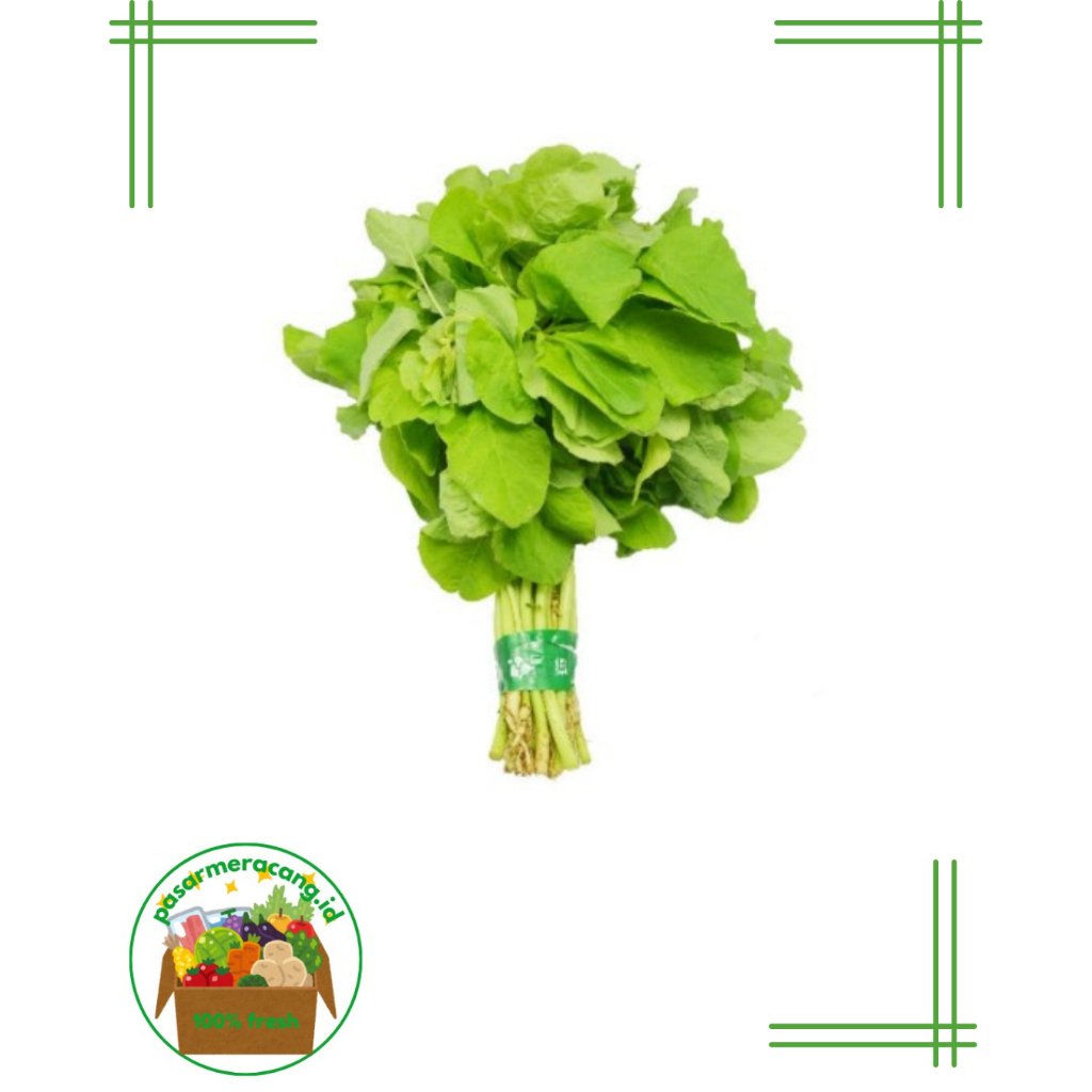 

Sayur Bayam Segar/ Sayur Bayam Lokal