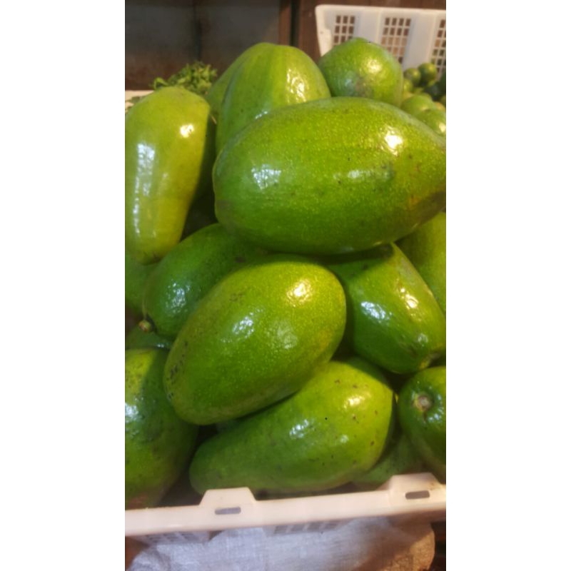

Alpukat Mentega