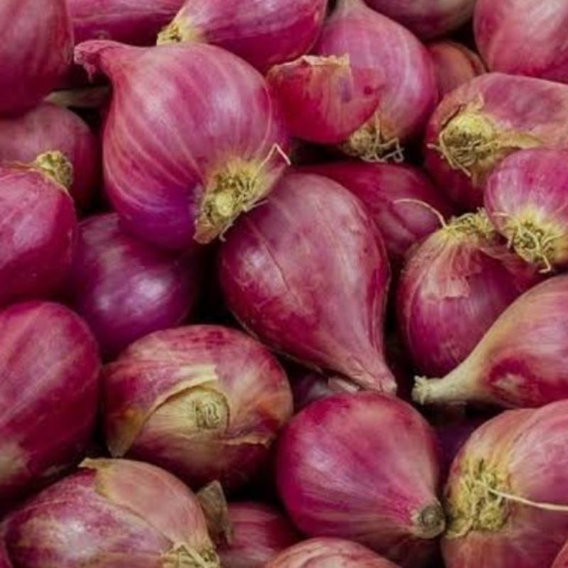 

Bawang merah brebes 1kg termurah