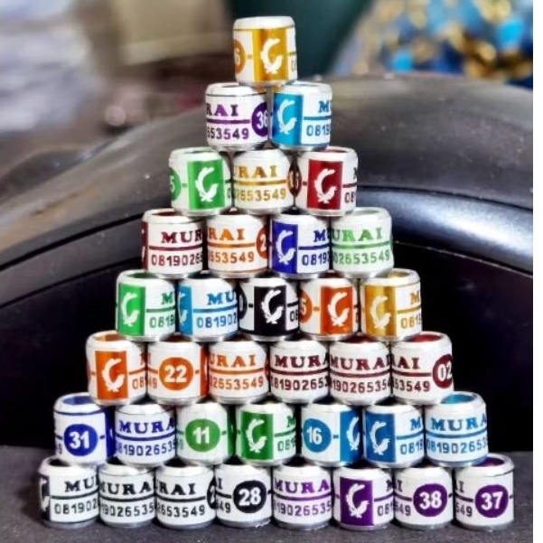 ISI 15  BIJI RING BURUNG MURAI BATU/KENARI/LOVEBIRD/KACER/KUTILANG  CUSTOM NAMA SENDIRI