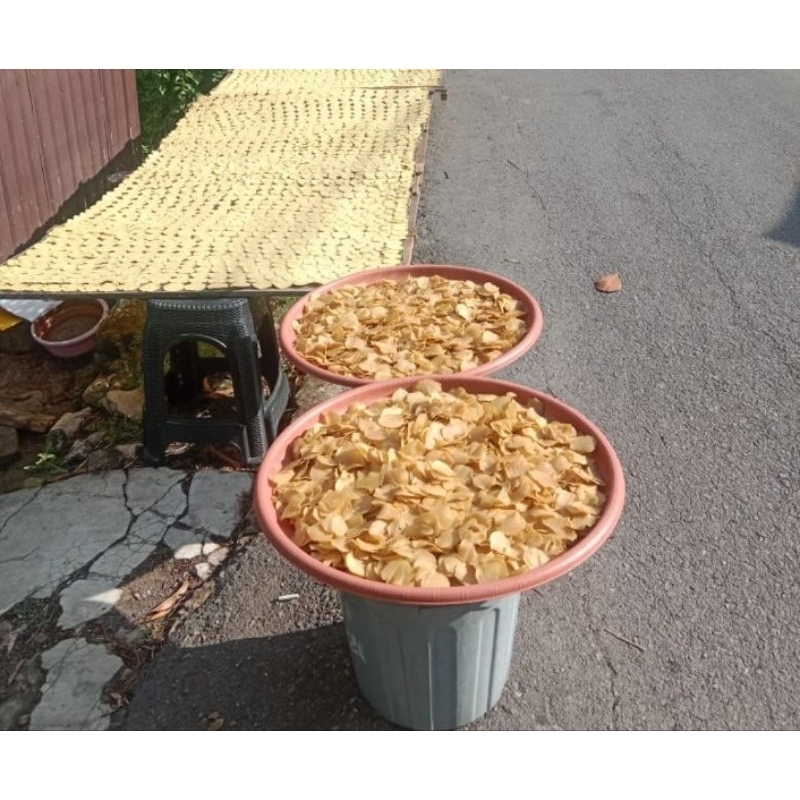 

kerupuk ada rasa original sma katombar