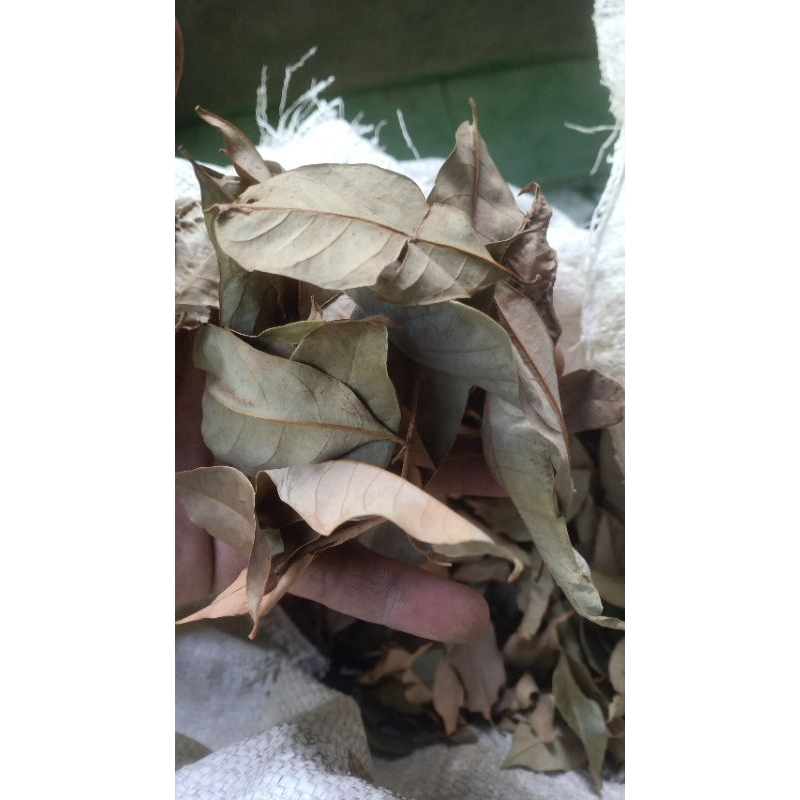 

Daun pala 250gram