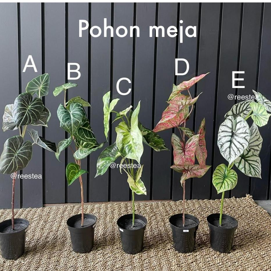 Pohon Hias Meja Palsu  /Artificial plant / Pohon palsu