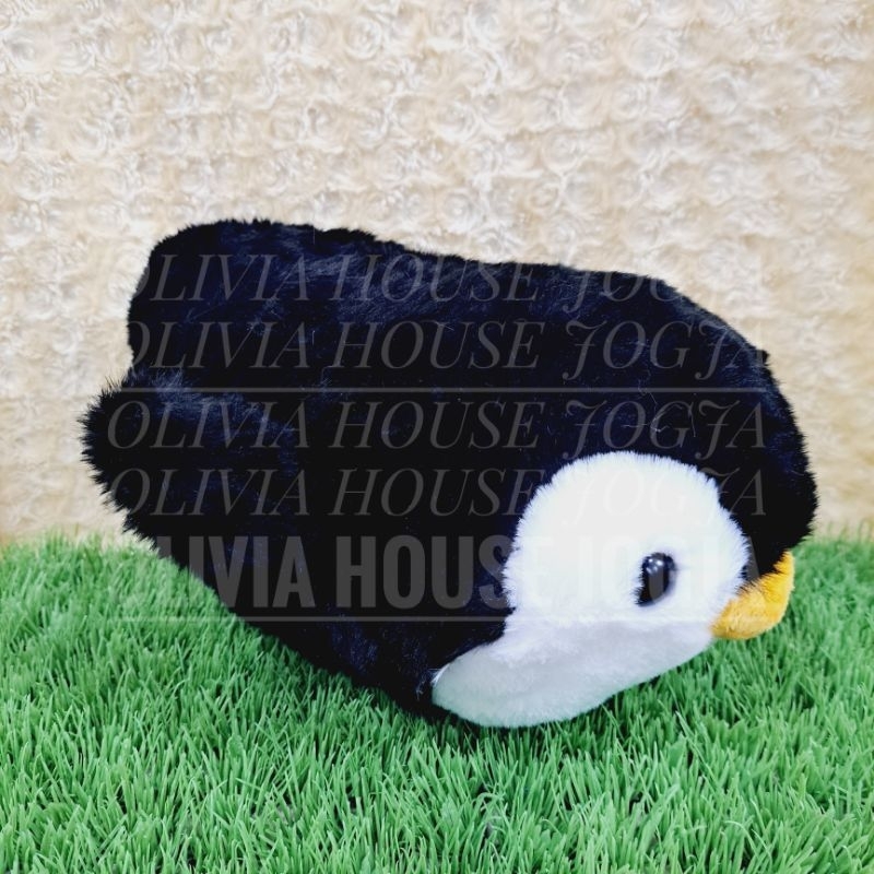 Boneka Lying Penguin Boneka Gembul Penguin Hitam Dada Putih Boneka Tiduran Penguin