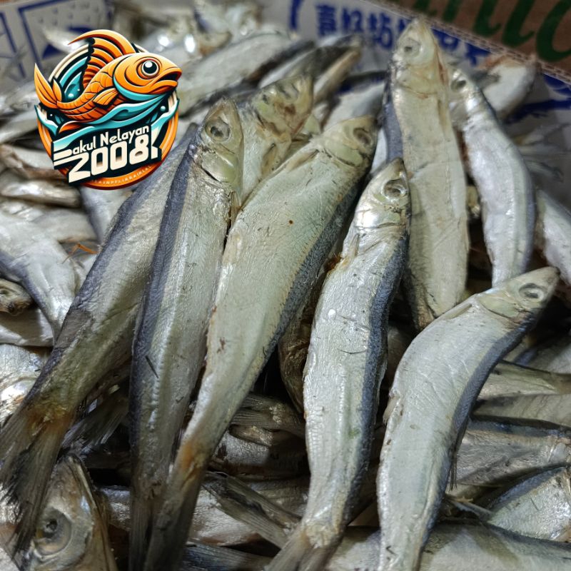 

Ikan japu ketan | ikan asin japu