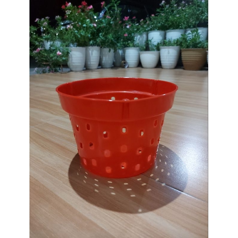 Pot Dendro 20 (LUSINAN )Anggrek Lubang Banyak Pot Plastik Pot Gantung Anggrek