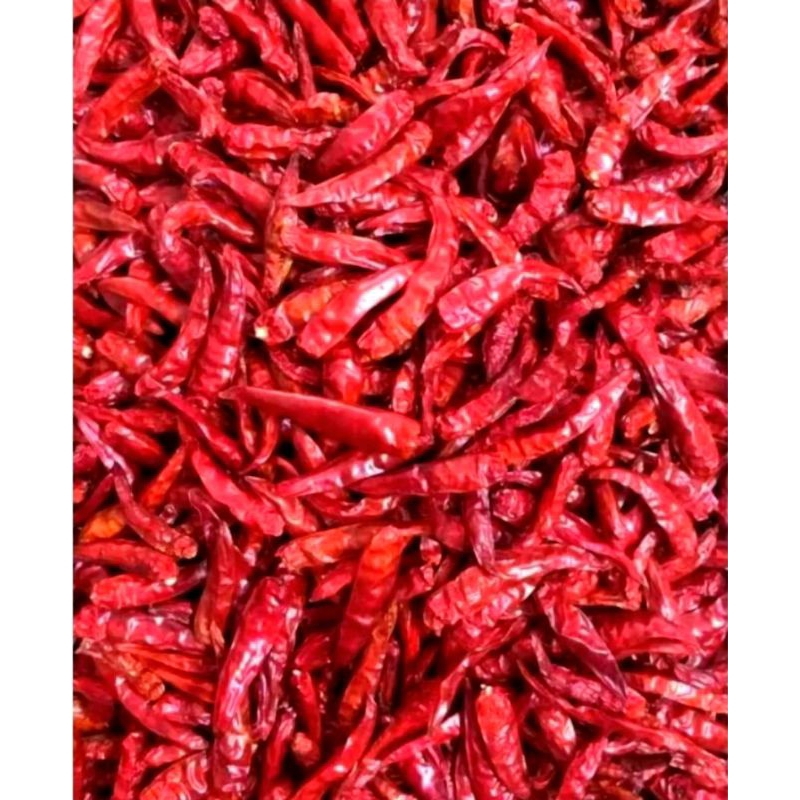 

1 kg cabe teja dengan tangkai super pedass murahhh