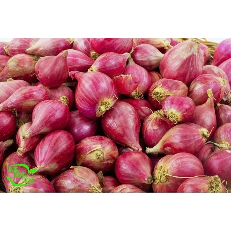 

Bawang MERAH ASLI BREBES, Kemasan 1(kg)keterangan lanjut baca deskripsi