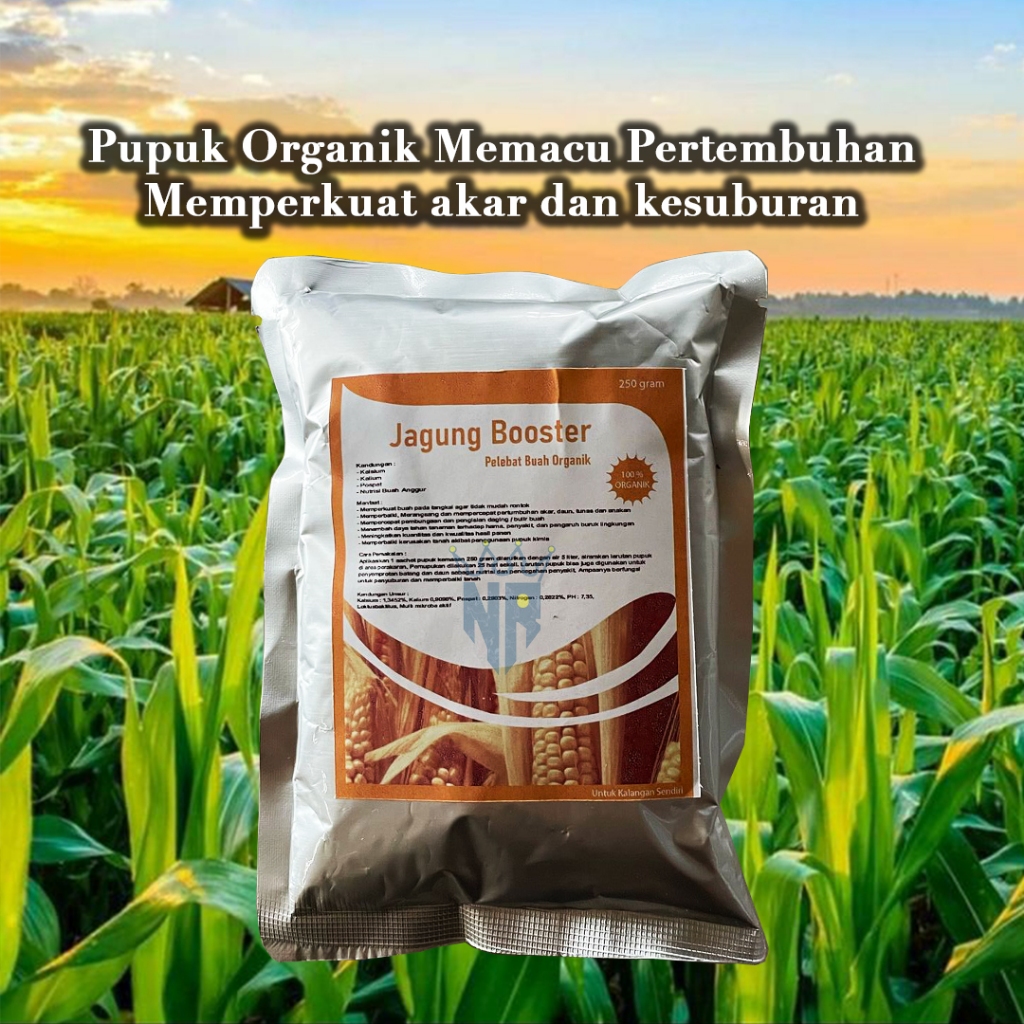 Pupuk Organik Tanaman Jagung Pupuk Jagung Cepat Besar Pupuk Pelebat Jagung Pupuk Khusus Tanaman Jagu
