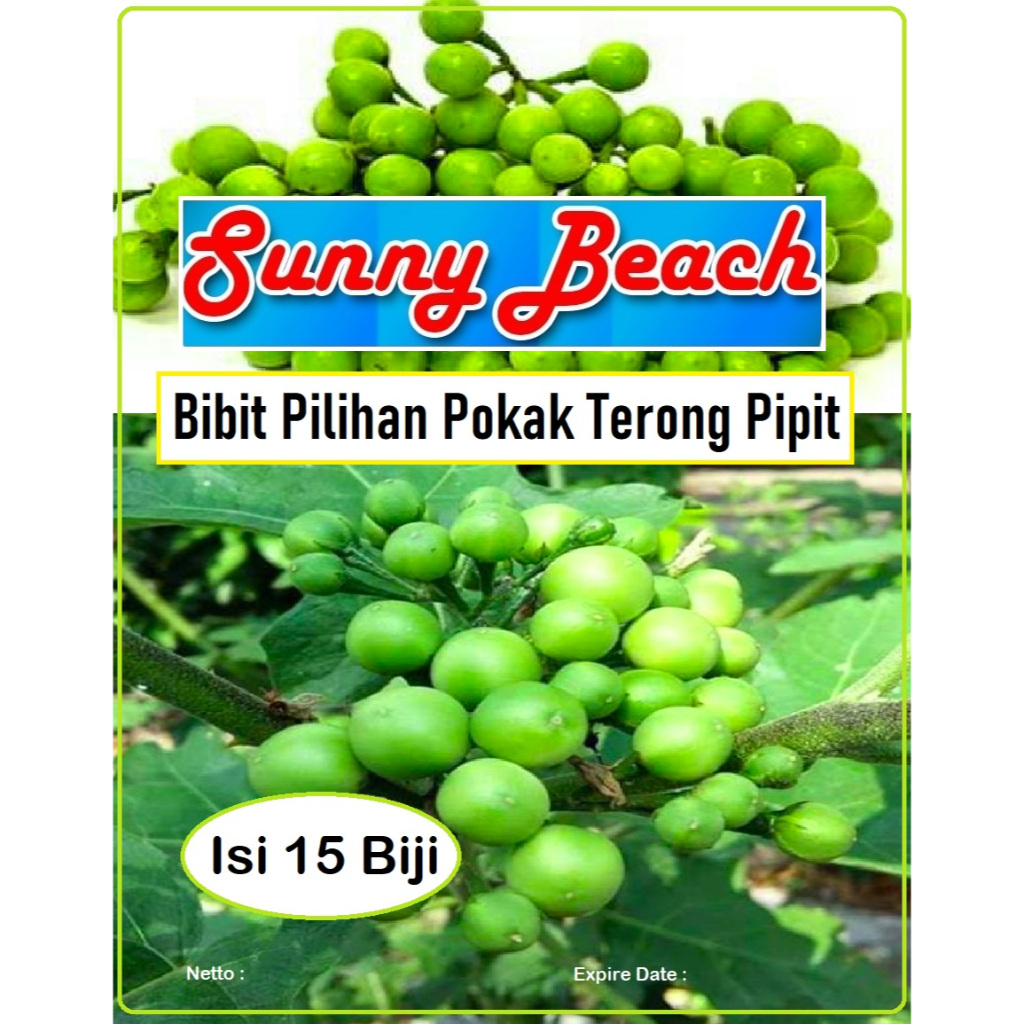 Bibit Pilihan Pokak Terong Pipit | Biji Benih Terong Pipit Pokak | Bibit Lalapan Pokak