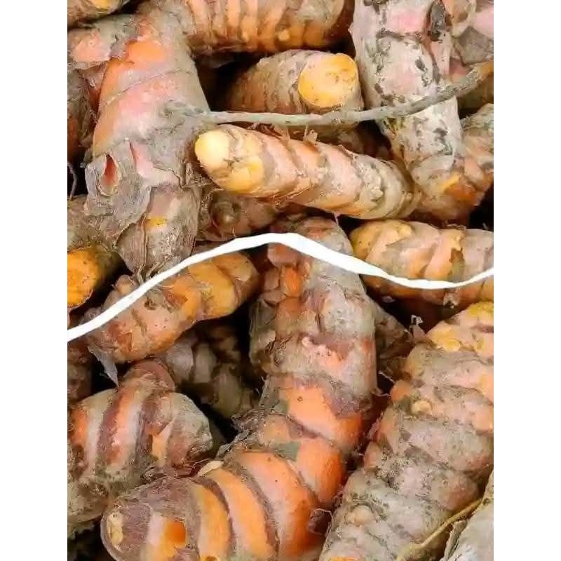

kunir/kunyit