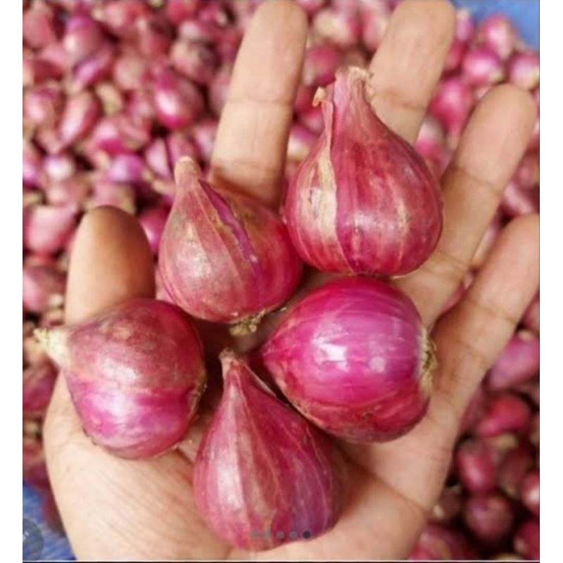 

Bawang Merah Kiloan dan Grosir, Murah dan Berkualitas