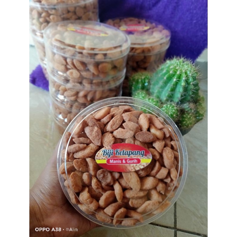 

Biji Ketapang