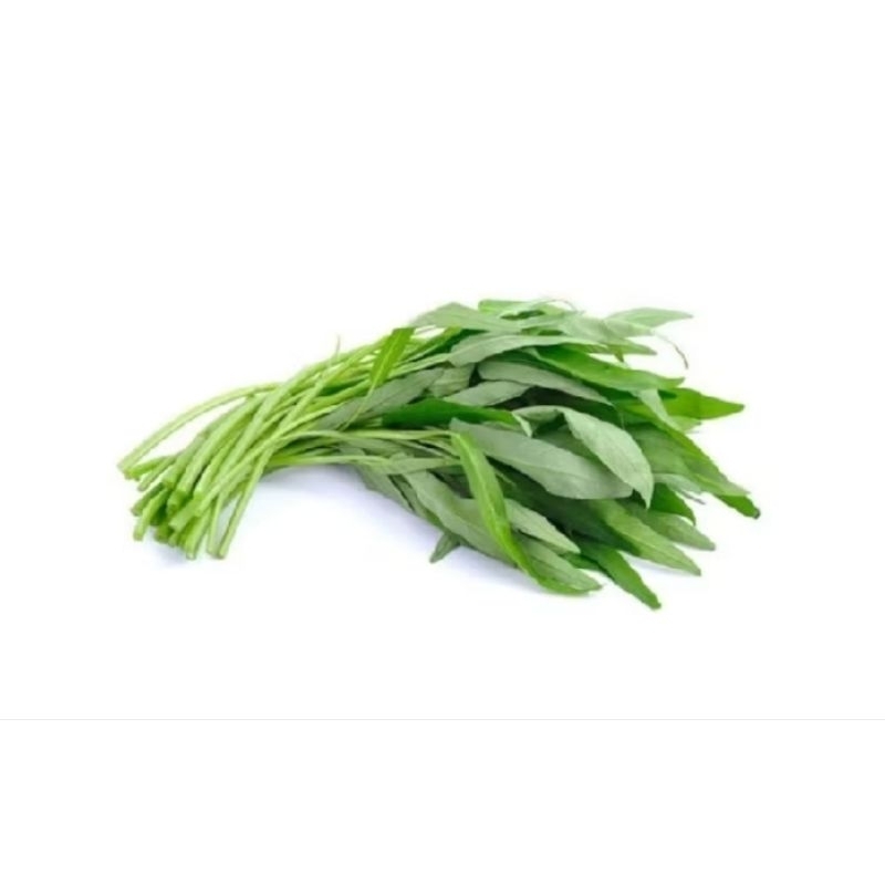

kangkung