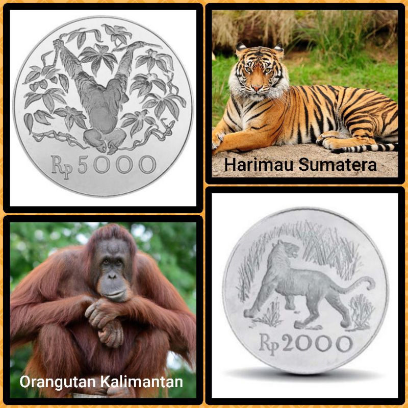 Uang Koin 2000 & 5000 (PERAK) LANGKA (1 SET)