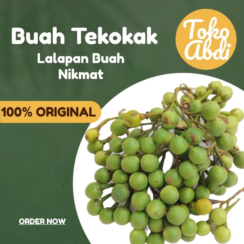 

TOKO ABDI 250 Gram Buah Tekokak Campokak Takokak atau Terung Pipit